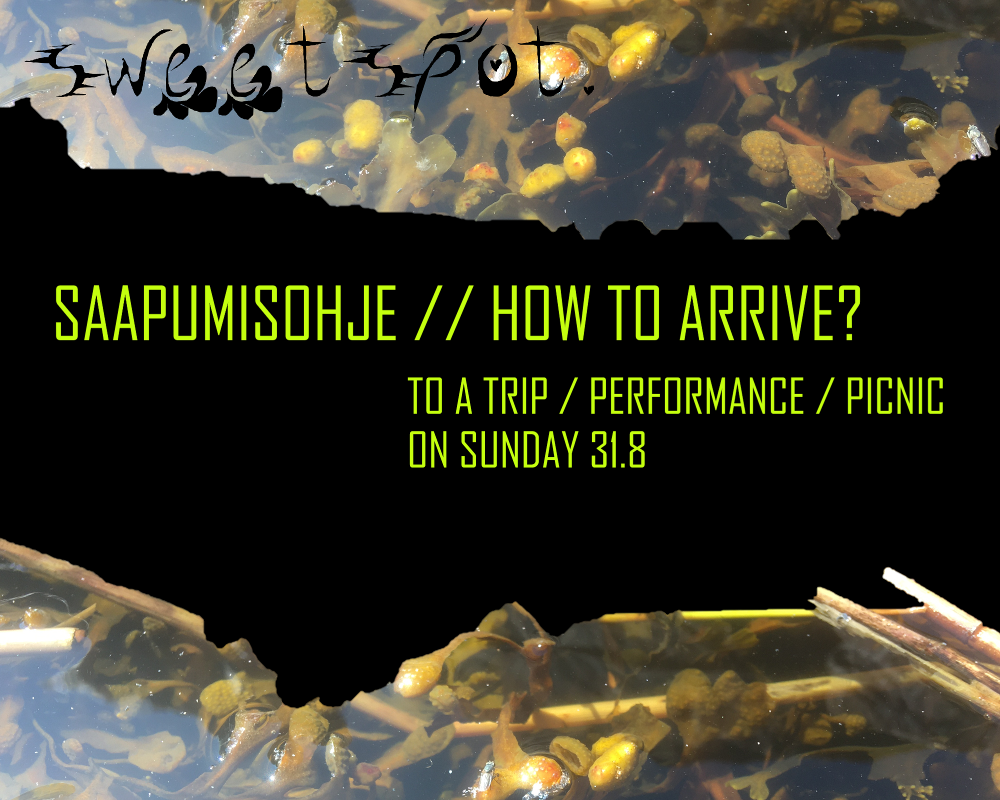 RYÖVÄREITÄ JA ROMANSSEJA